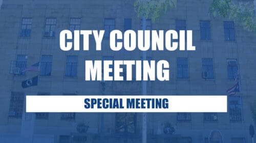 ELO Council Special Meeting Minutes